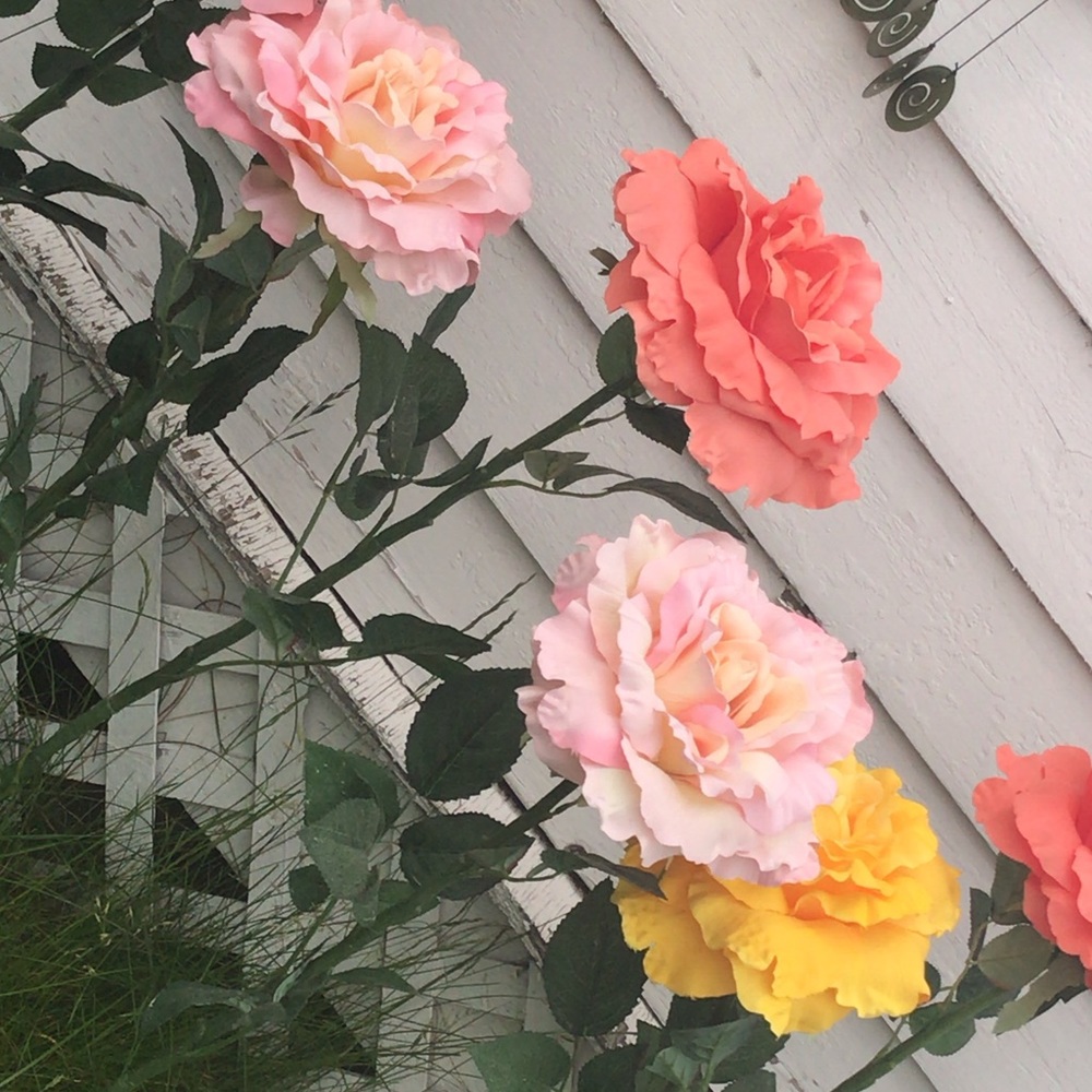 Meet your Posher, Saba